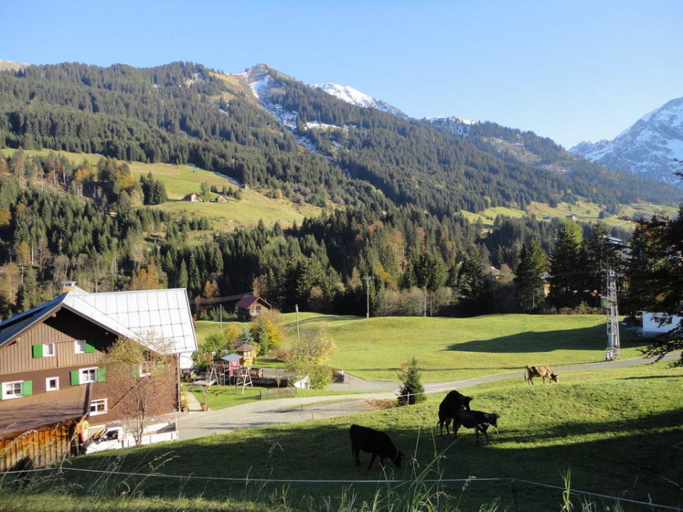 Blick vom Balkon Hotel Birkenhöhe
