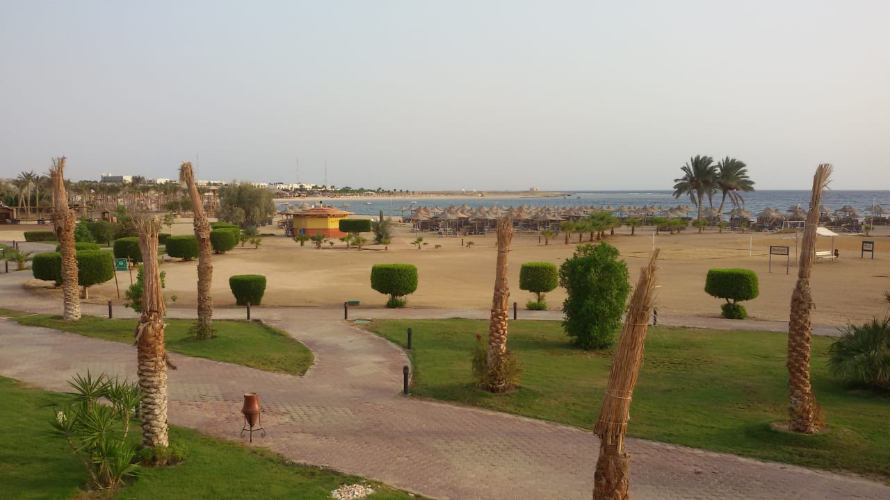 Ausblick Malikia Resort Abu Dabbab