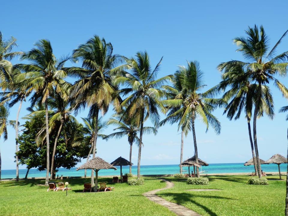 Liegewiese Neptune Palm Beach Boutique Resort & Spa