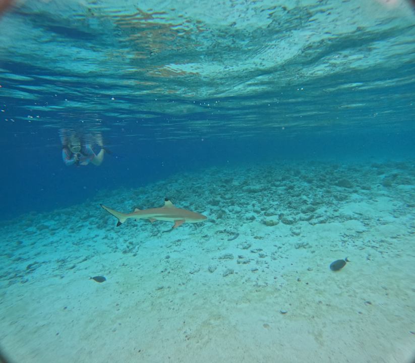 Sonstiges Vilamendhoo Island Resort & Spa