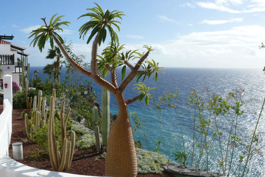 Teil des Hotelgartens Hotel Jardin Tecina
