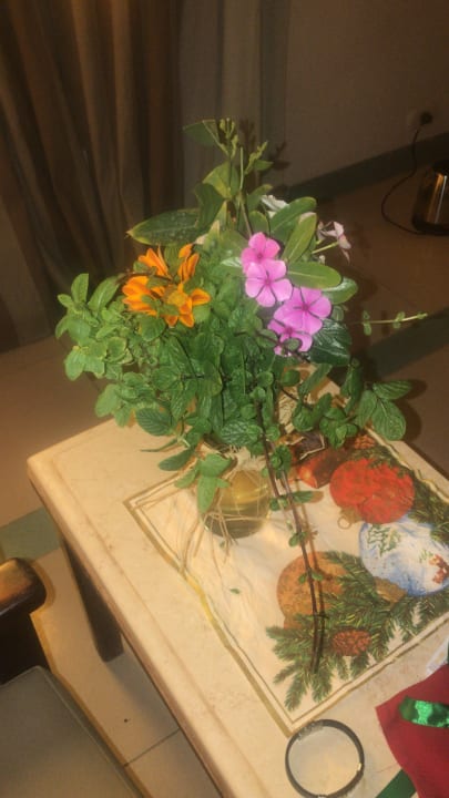 Zimmer Regina Resort and Aqua Park Hurghada