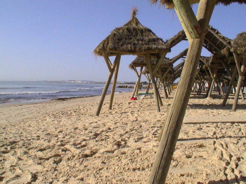 Herrlicher Sandstrand The Orangers Beach Resort and Bungalows