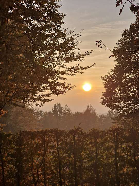 Sonstiges Hotel Resort Birkenhof Therme