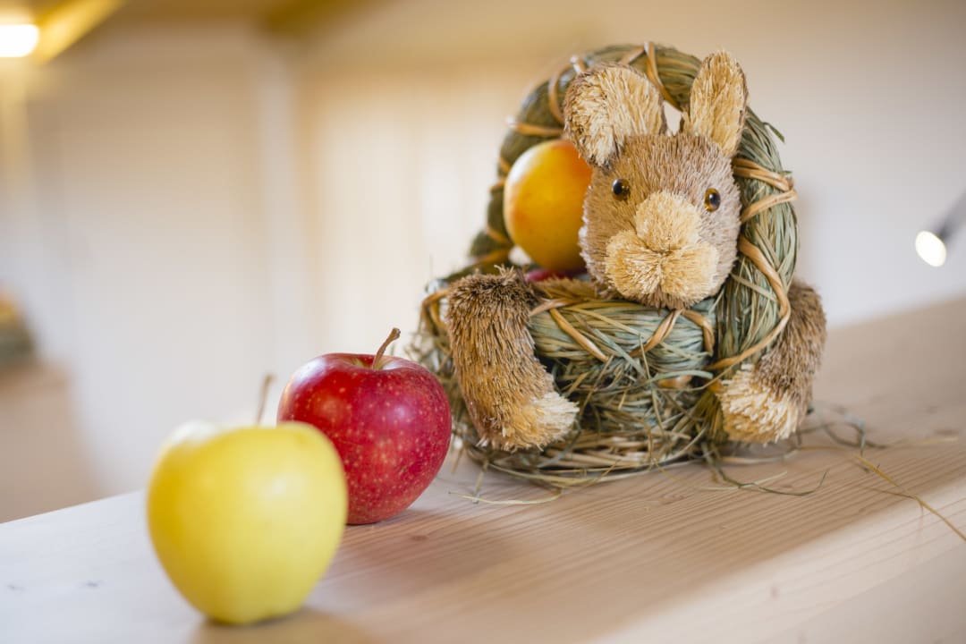 Zimmer Bio Agriturismo Le Millemele