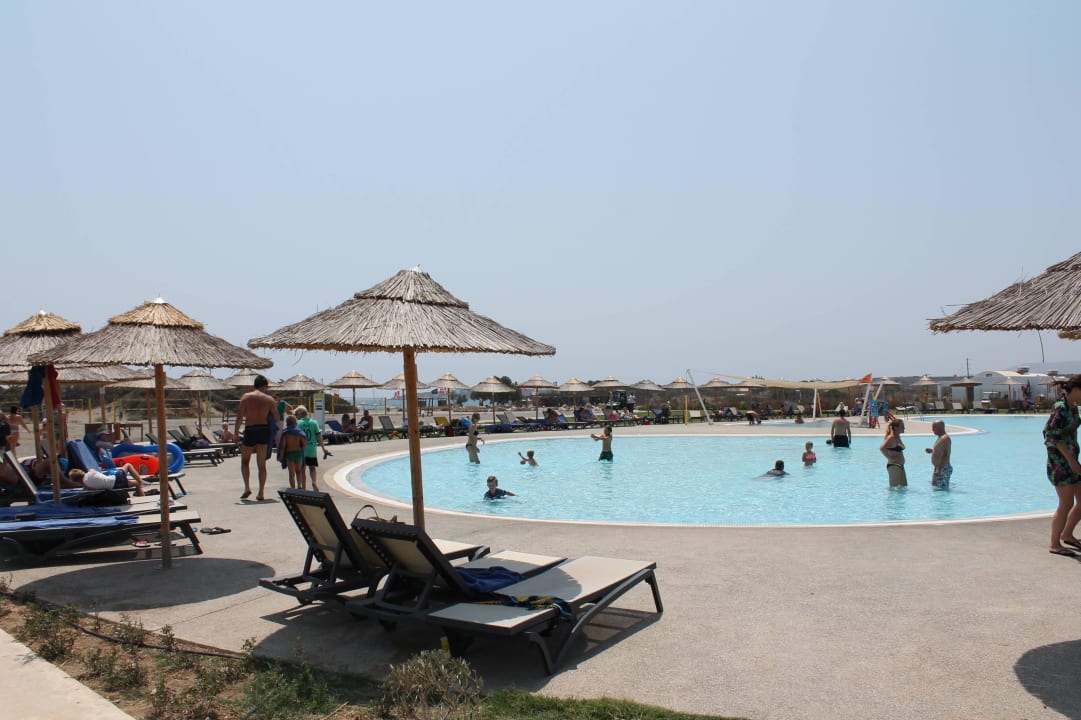 Schmetterlingspool Atlantica Plimmiri