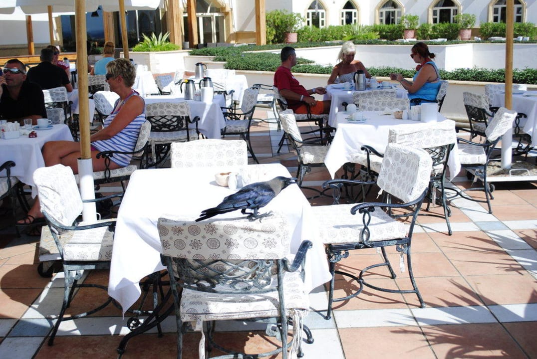 Летняя площадка ресторана Pickalbatros Royal Grand Resort - Sharm El Sheikh