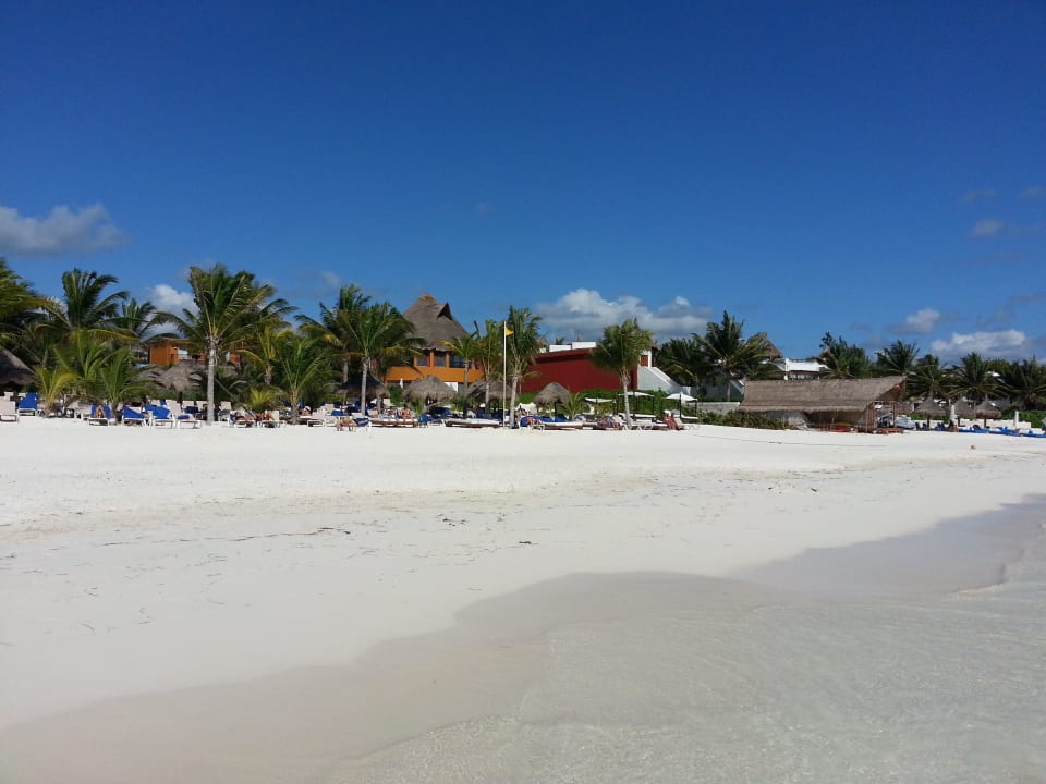 Immer sauber Catalonia Playa Maroma