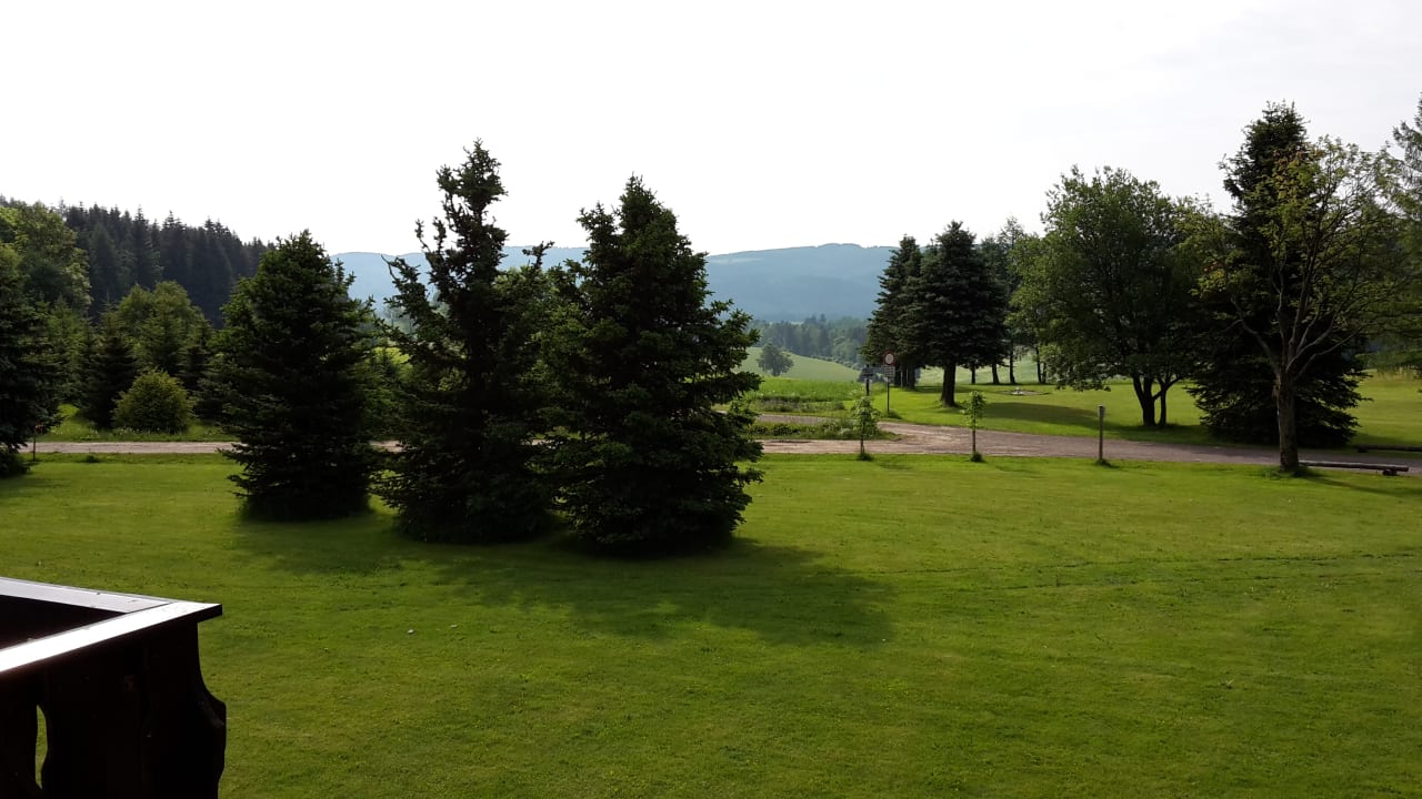 Ausblick Waldhotel Kreuztanne