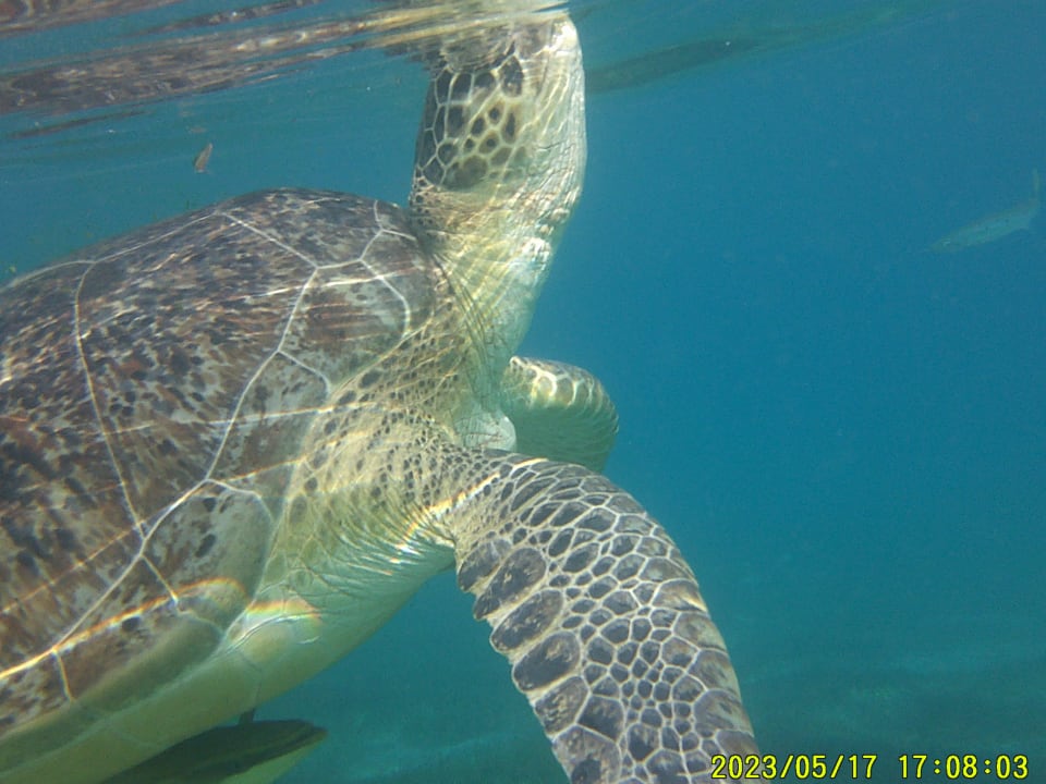 Sport & Freizeit Shams Prestige Abu Soma-Adults Only