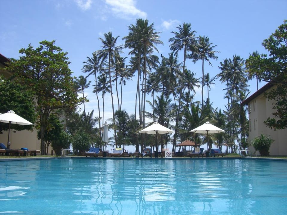 Vom Pool aus fotografiert  Mermaid Hotel & Club