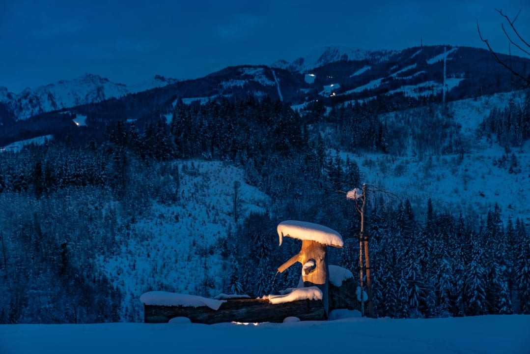 Gartenanlage Almchalet Linharterhof