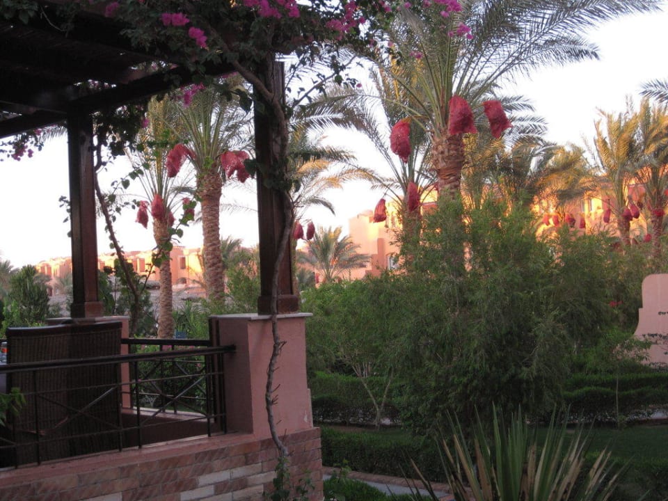 Blick vom Restaurant Jaz Makadi Oasis Resort