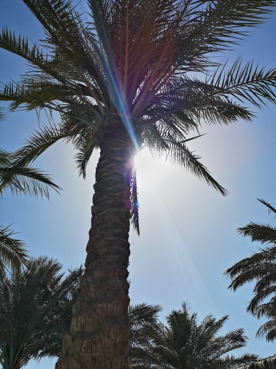 Ausblick Sentido Caribbean World Soma Bay