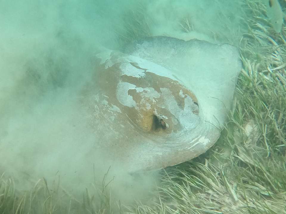 Strand Jawakara Islands Maldives