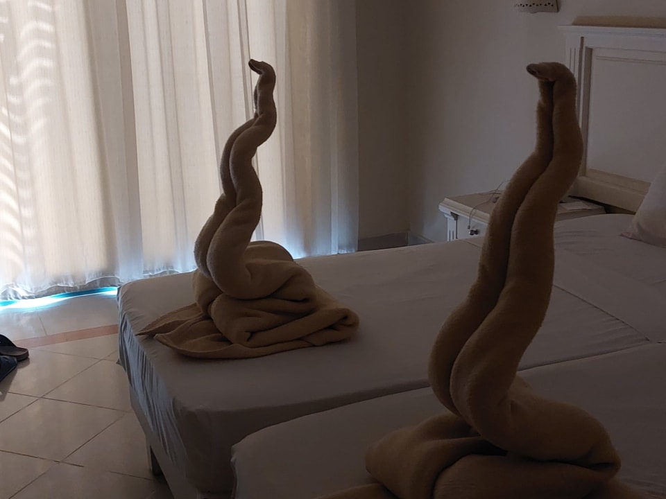 Zimmer Shams Safaga Resort