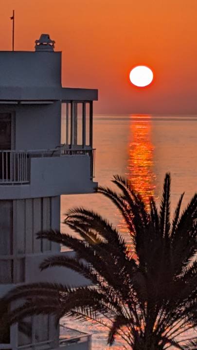 Ausblick Hotel Riu Monica - Adults only