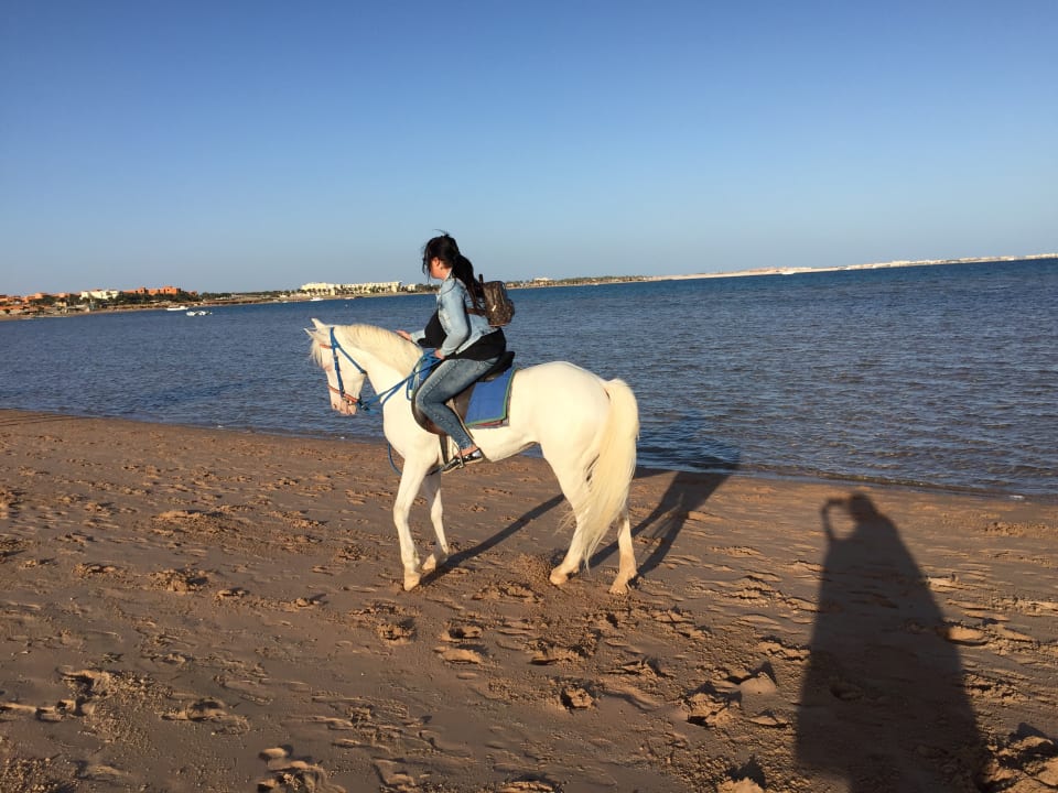 Gastro Sentido Caribbean World Soma Bay