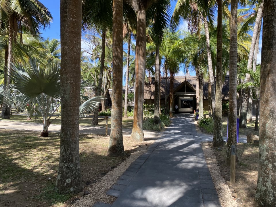 Gartenanlage Shandrani Beachcomber Resort & Spa