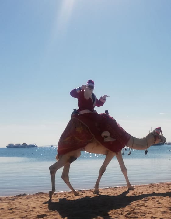 Strand Giftun Azur Resort