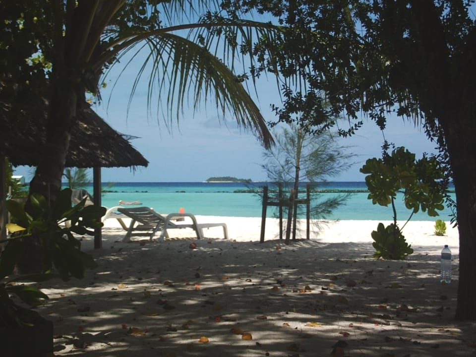 Ausblick von unserem Bungi Nr.9 Summer Island Maldives