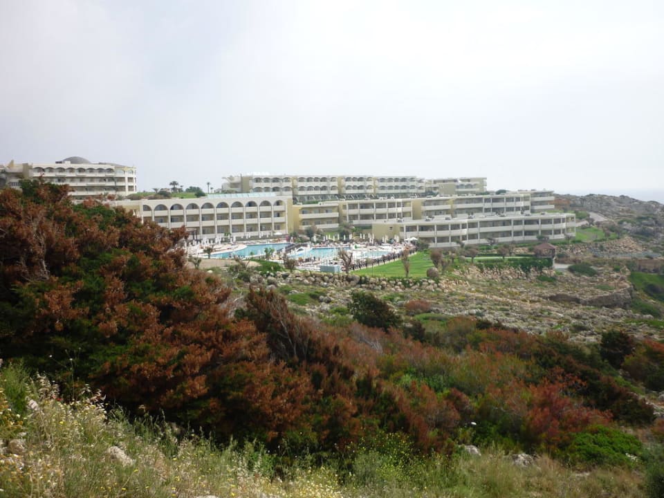 Hotel Hotel Kalithea Mare Palace