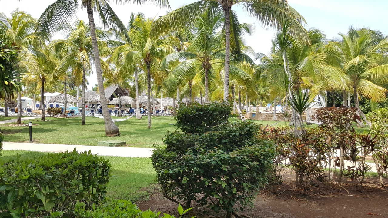Gartenanlage Melia Las Antillas - Adults only