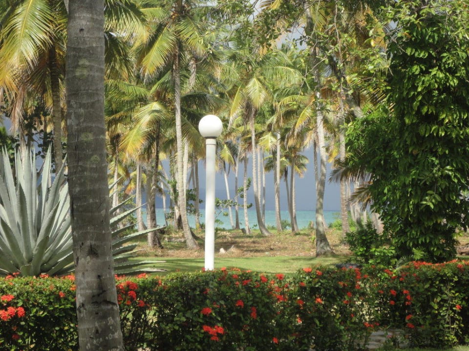 Terrassenblick Wyndham Alltra Samana