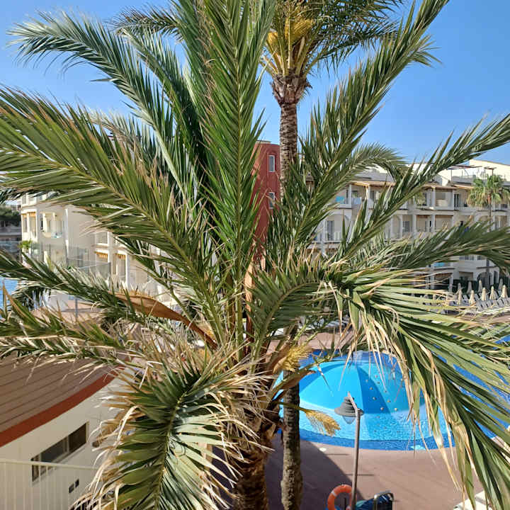 Gartenanlage Zafiro Bahia