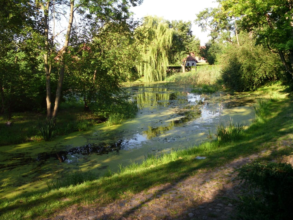 Teich Pałac i Folwark Galiny