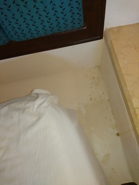 Zimmer Pickalbatros Citadel Resort