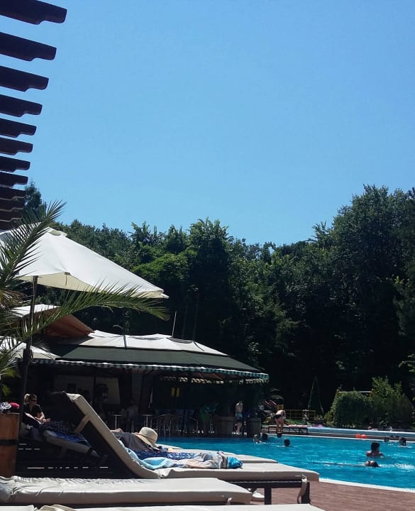 Der Blick auf den Pool und die Poolbar Hotel MiRaBelle