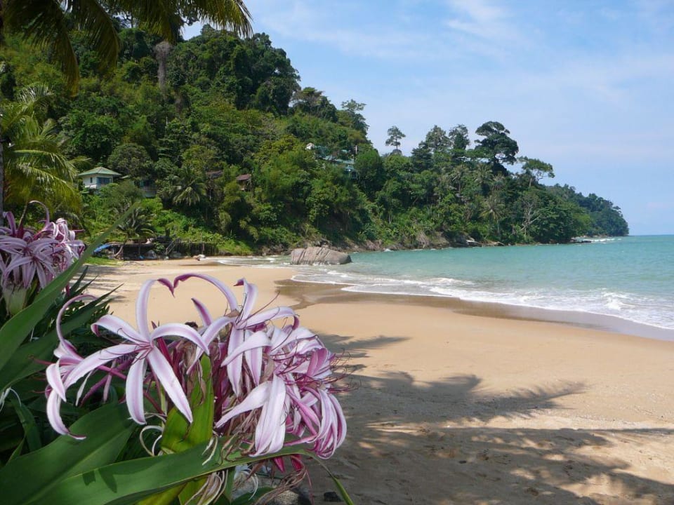 Strand Hotel Khao Lak Palm Beach Resort