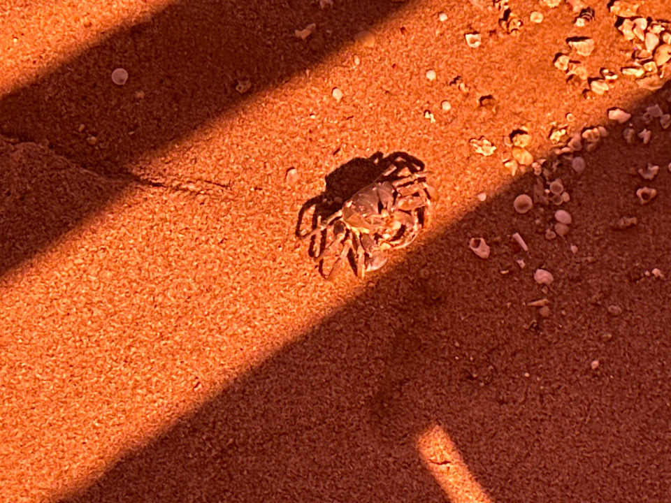 Strand Iberotel Makadi Beach