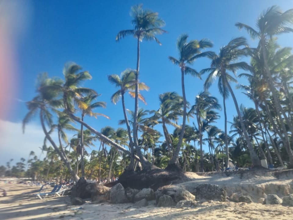 Strand Hotel Riu Palace Bavaro