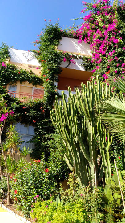 Gartenanlage Anissa Beach & Village