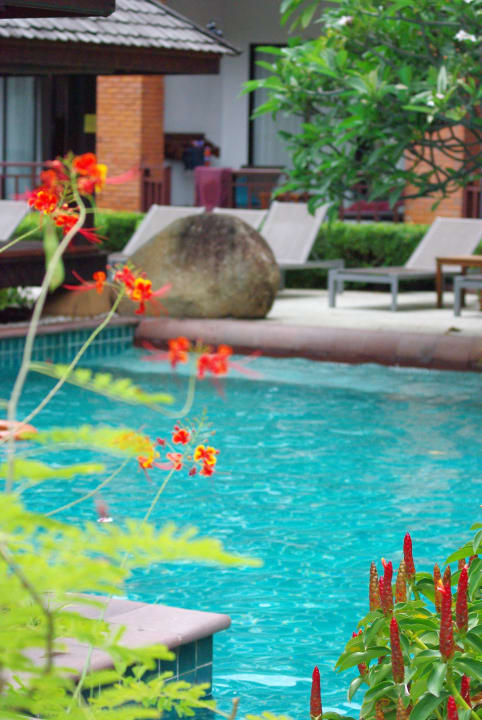 Pool Woodlands Hotel & Resort