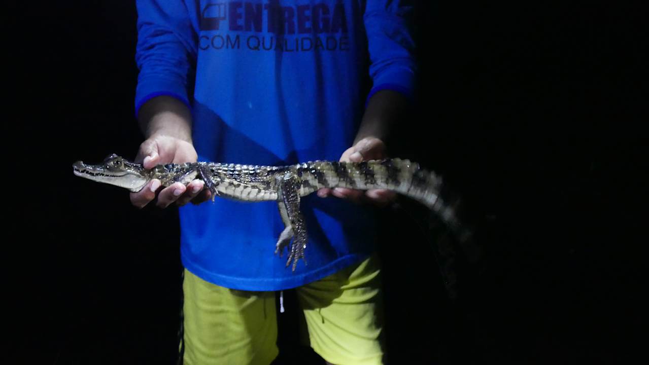 Sonstiges Amazon Village Lodge