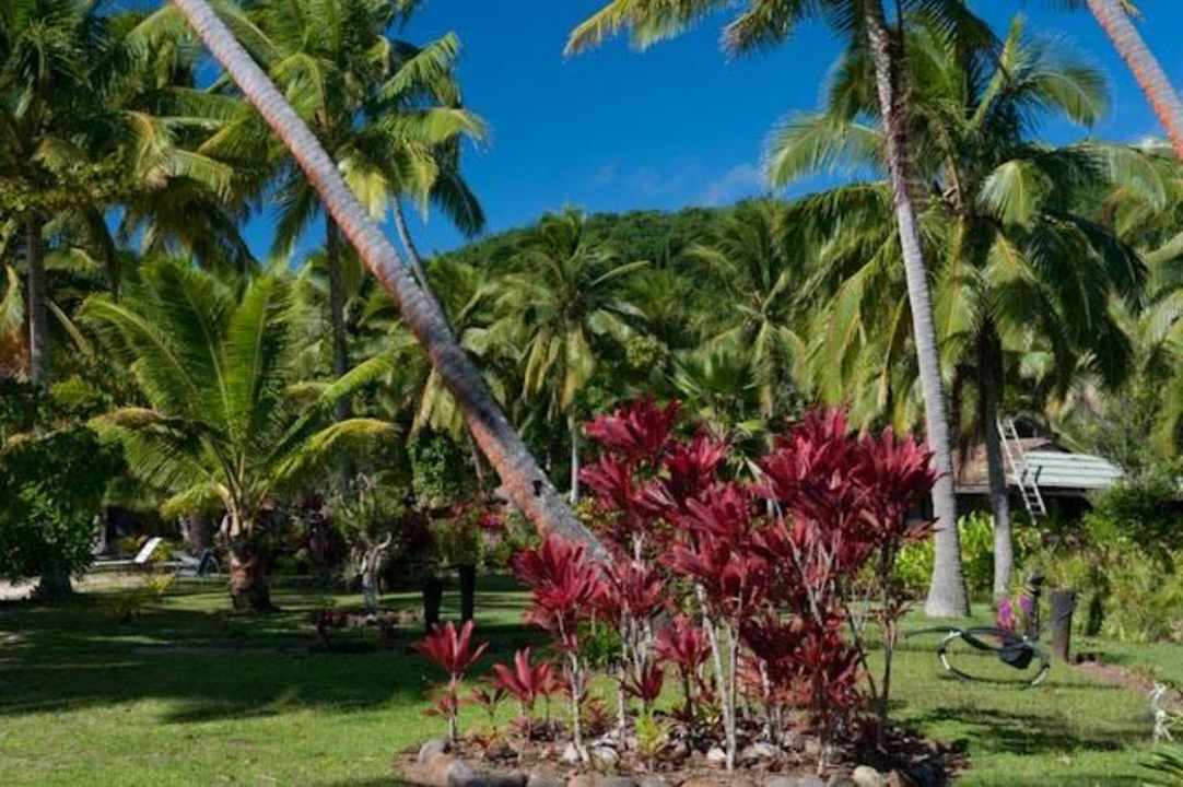 Tropical Garden Setting Papageno Resort