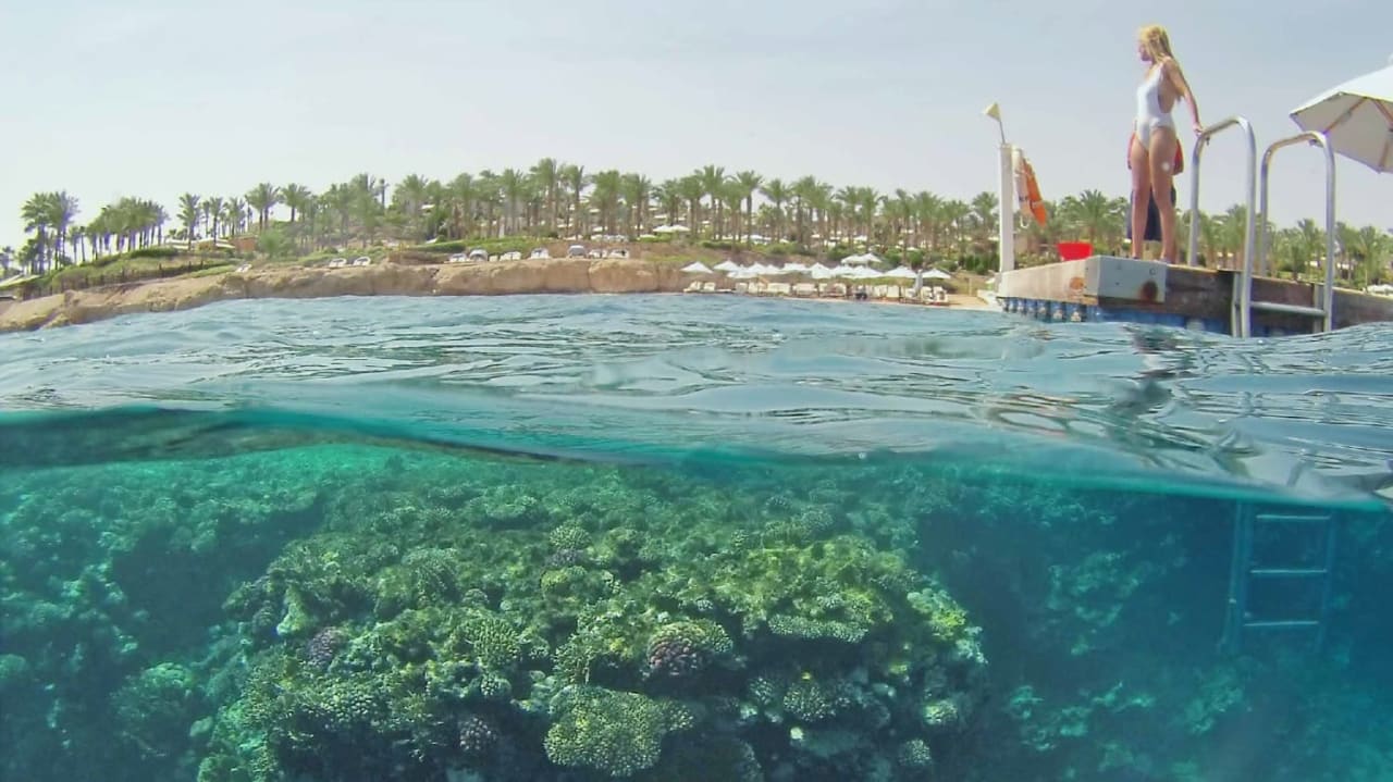 Sport & Freizeit Four Seasons Resort Sharm El Sheikh