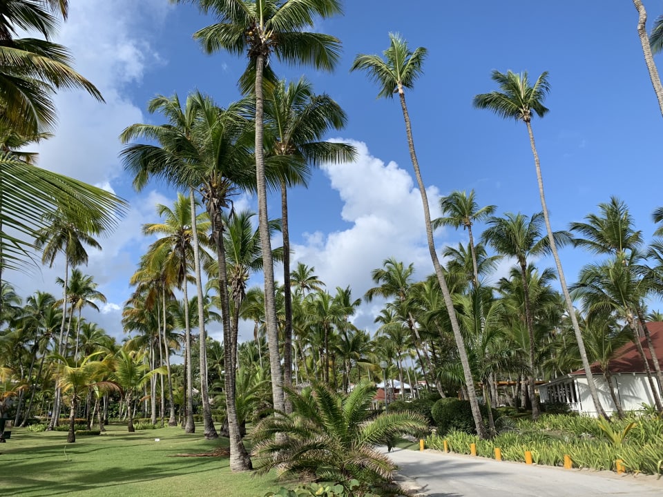 Garten Grand Palladium Select Bávaro Resort & Spa