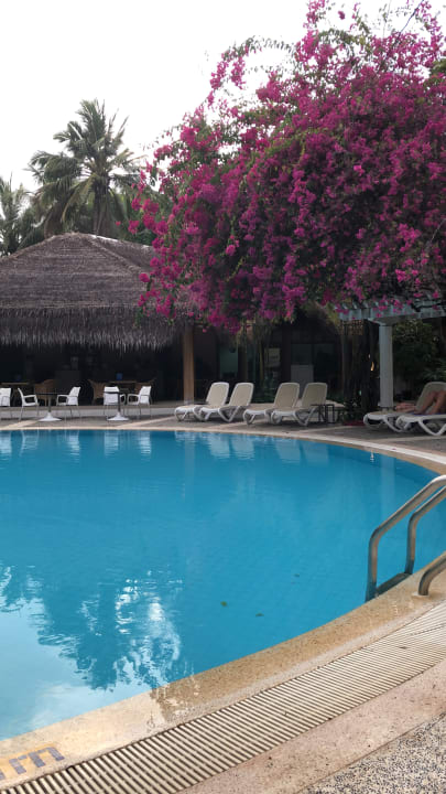 Pool Kuramathi Maldives