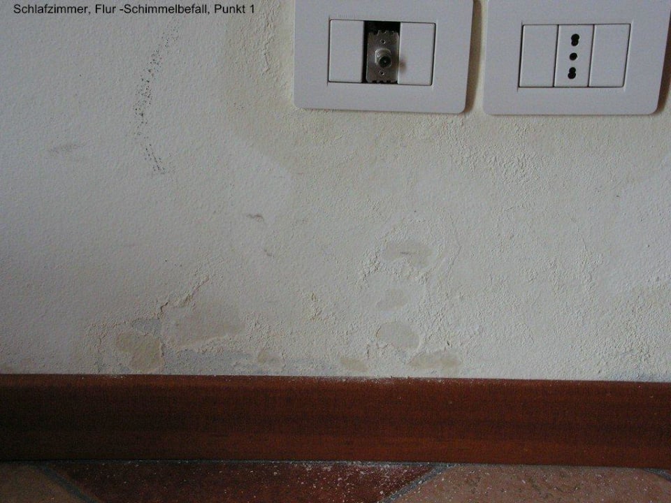 Feuchte Wände Residence Eden