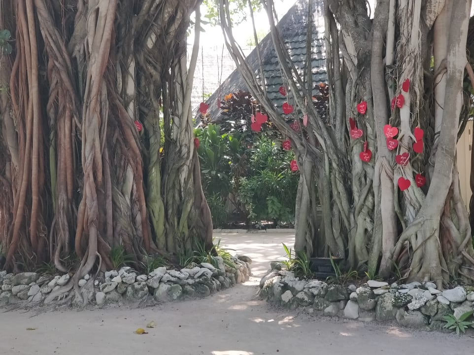 Lobby Adaaran Select Hudhuran Fushi - Premium All Inclusive