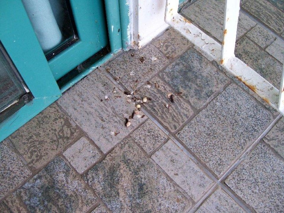 Balkon Hotel Borjana