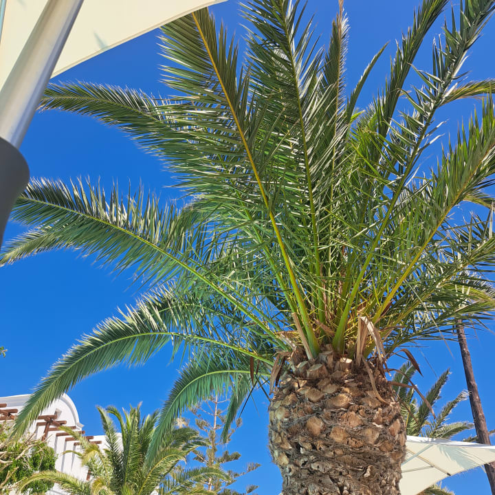 Gartenanlage Hotel Strogili