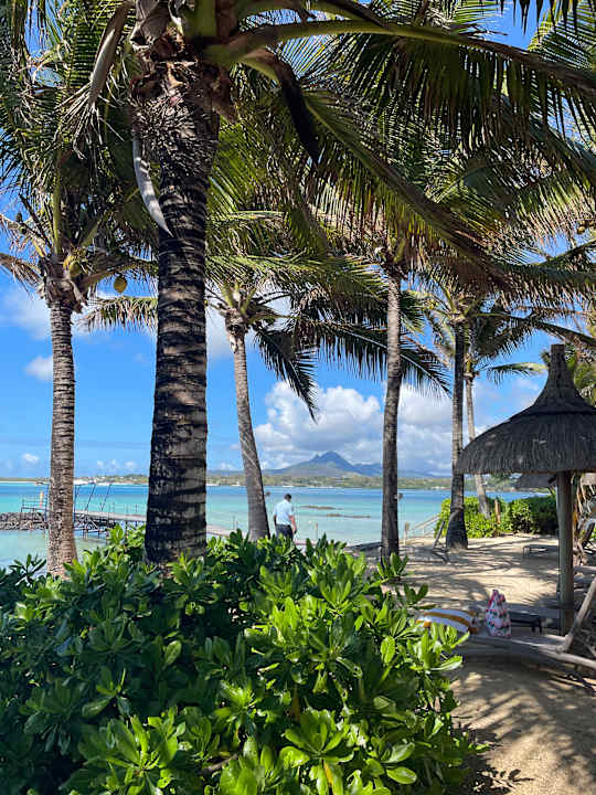 Außenansicht Tropical Attitude - Adults only