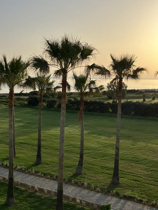 Gartenanlage Delfina Tropic Beach