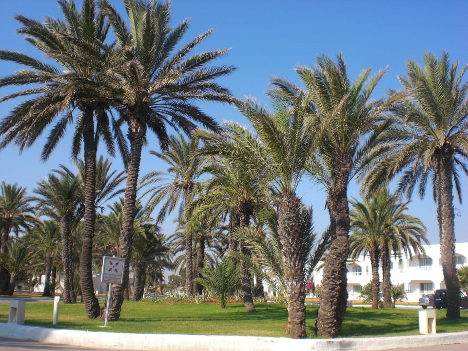 Anlage Monarque Club Rivage