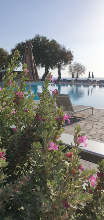 Pool Atlantica Beach Resort Kos